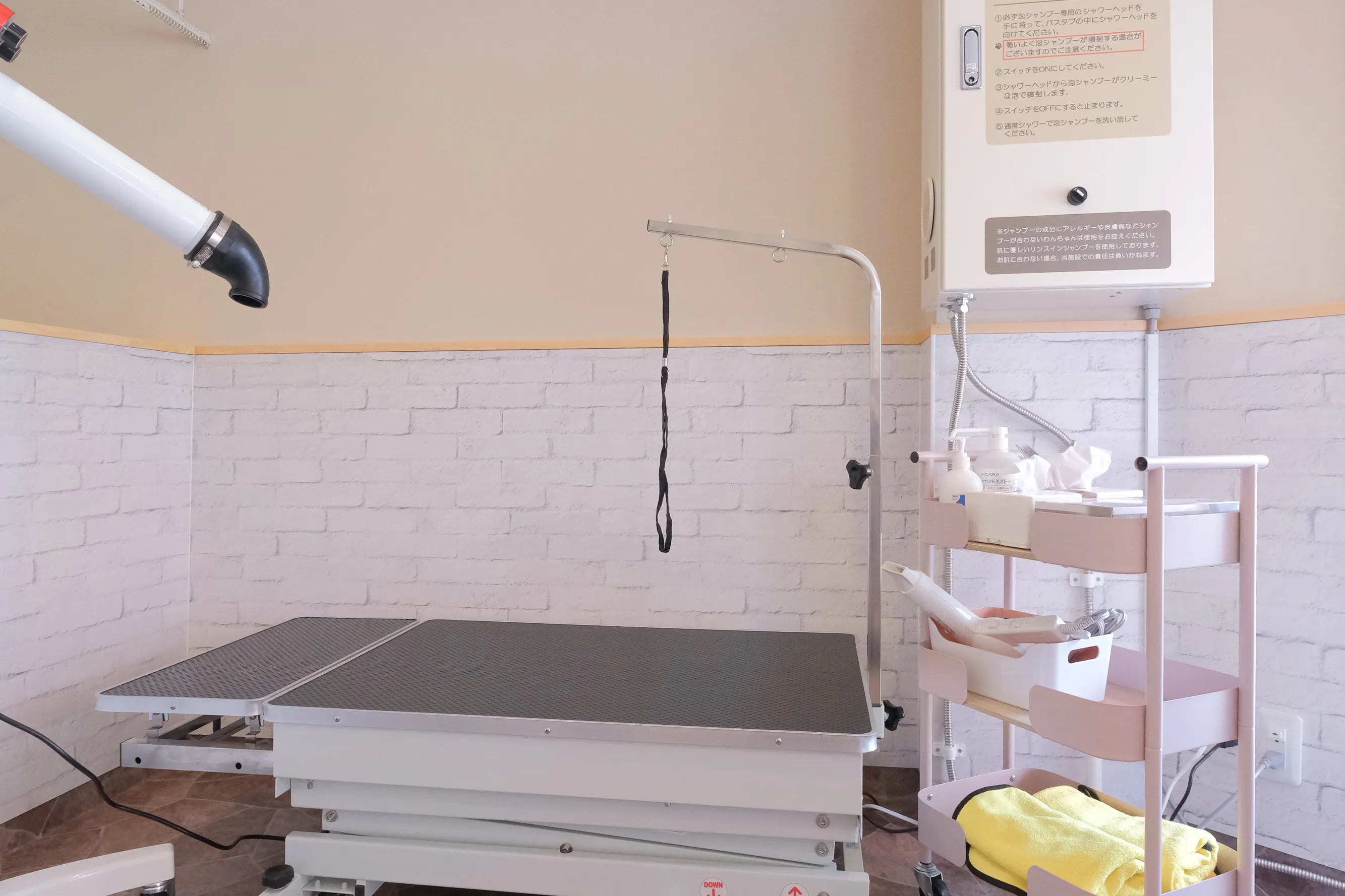 【下丸子駅2分】犬関連のワークショップや勉強会に最適な中型犬~大型犬用ドッグバス完備の駅近レンタルスペース