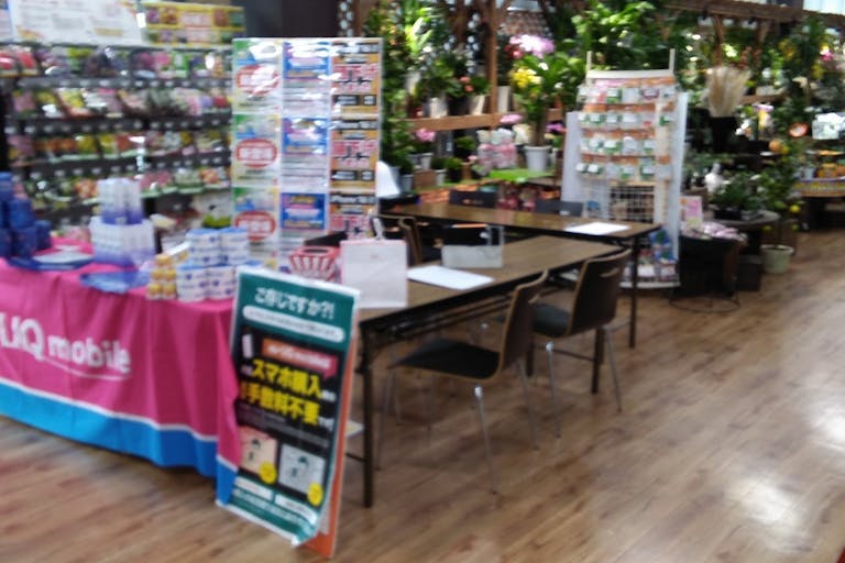 【サンデーいわき泉店】屋内グリーンショップ前 食物販やプロモーション等の出店に最適なホームセンター店内のイベントスペースの画像1