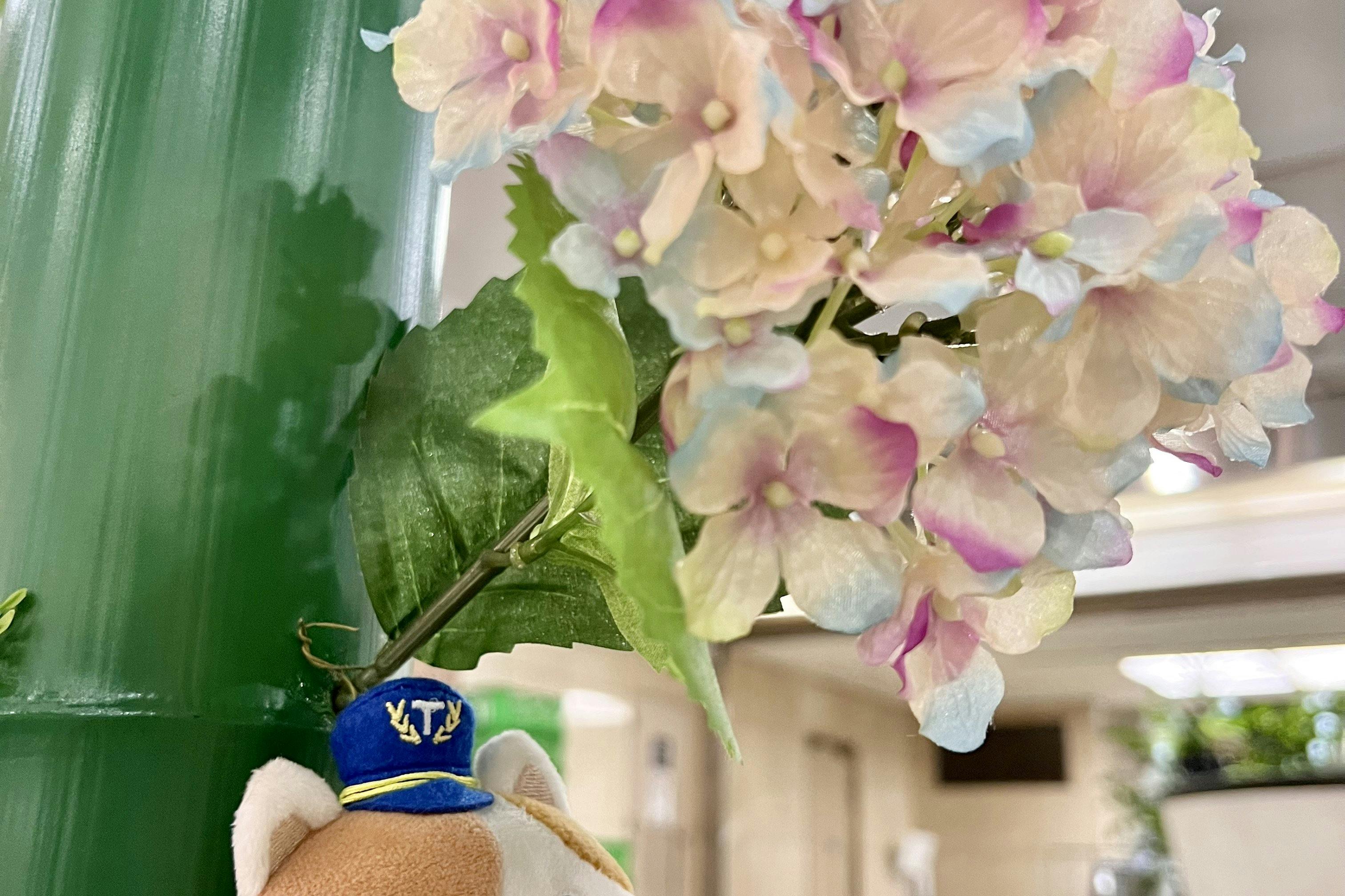 マスコットキャラクター「またたびくん」