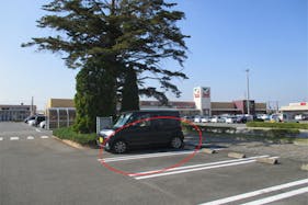 【ヨークタウン坂東】PRや物販利用に適したもみの木の下のイベントスペース