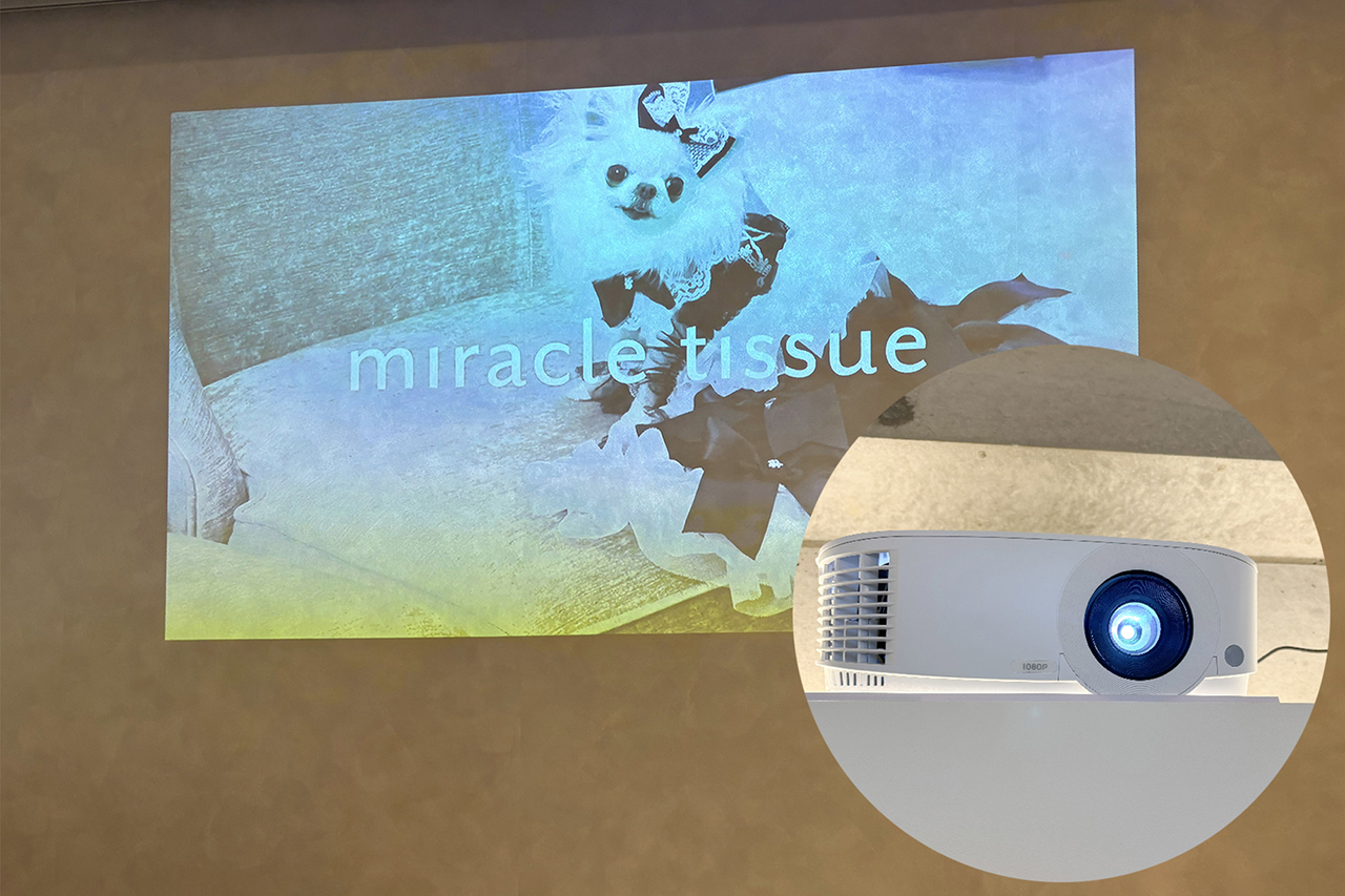 1F南側の壁面にプロジェクター投影可