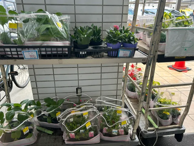 【天満屋ハピーズ国府市場店】屋外軒下 各種プロモーション、会員獲得イベントに最適な屋外催事イベントスペース