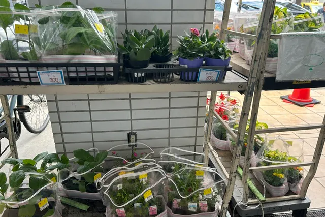 【天満屋ハピーズ国府市場店】屋外軒下 各種プロモーション、会員獲得イベントに最適な屋外催事イベントスペース