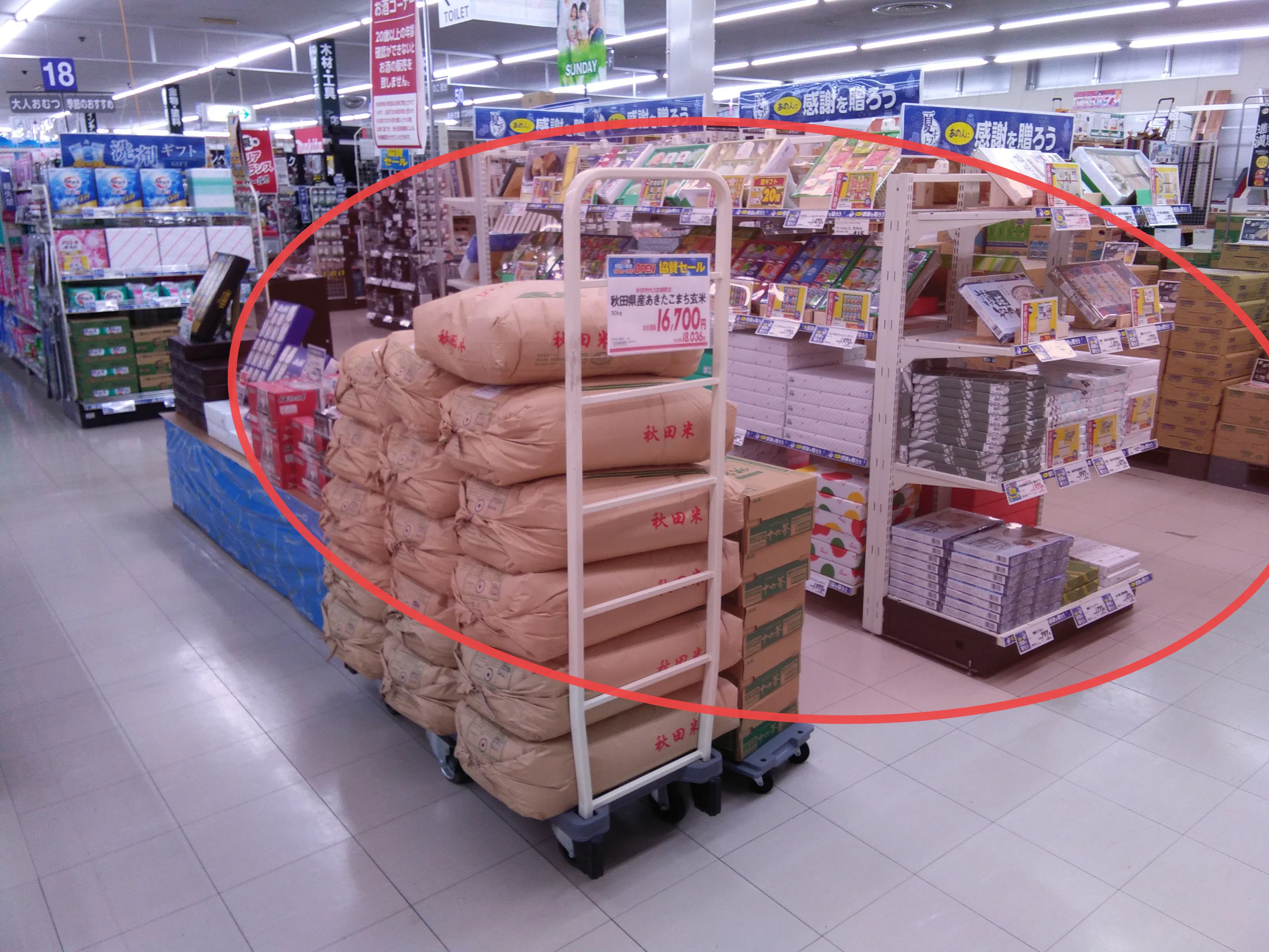 【サンデー秋田御野場店】レジ横 食物販やプロモーション等の出店に最適なホームセンター店内のイベントスペース