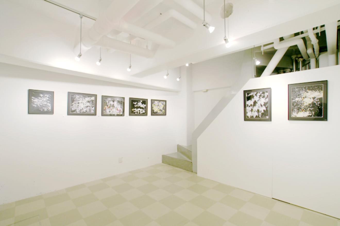 街路樹の葉陰がゆれる小路に佇むアートスペース。【全体貸し】