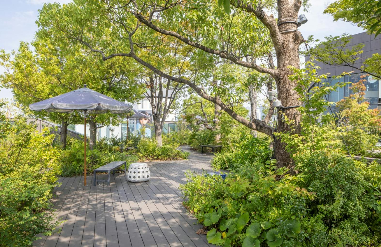 【東急プラザ表参道原宿/明治神宮前駅1分】原宿のランドマーク的な商業施設にある様々なイベントや撮影等に適した緑と調和する屋外テラススペース