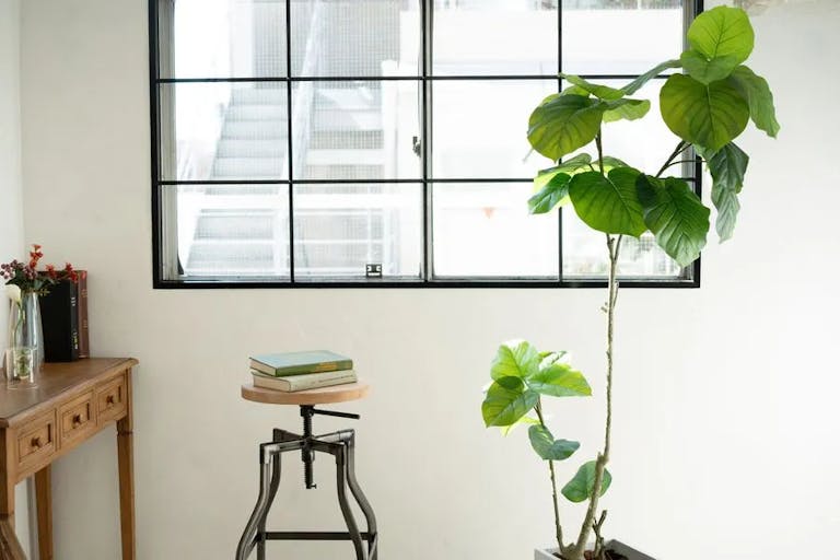 【青山一丁目駅4分】展示会や撮影に最適なバルコニー付きの白を基調としたモダンなレンタルスペースの画像4