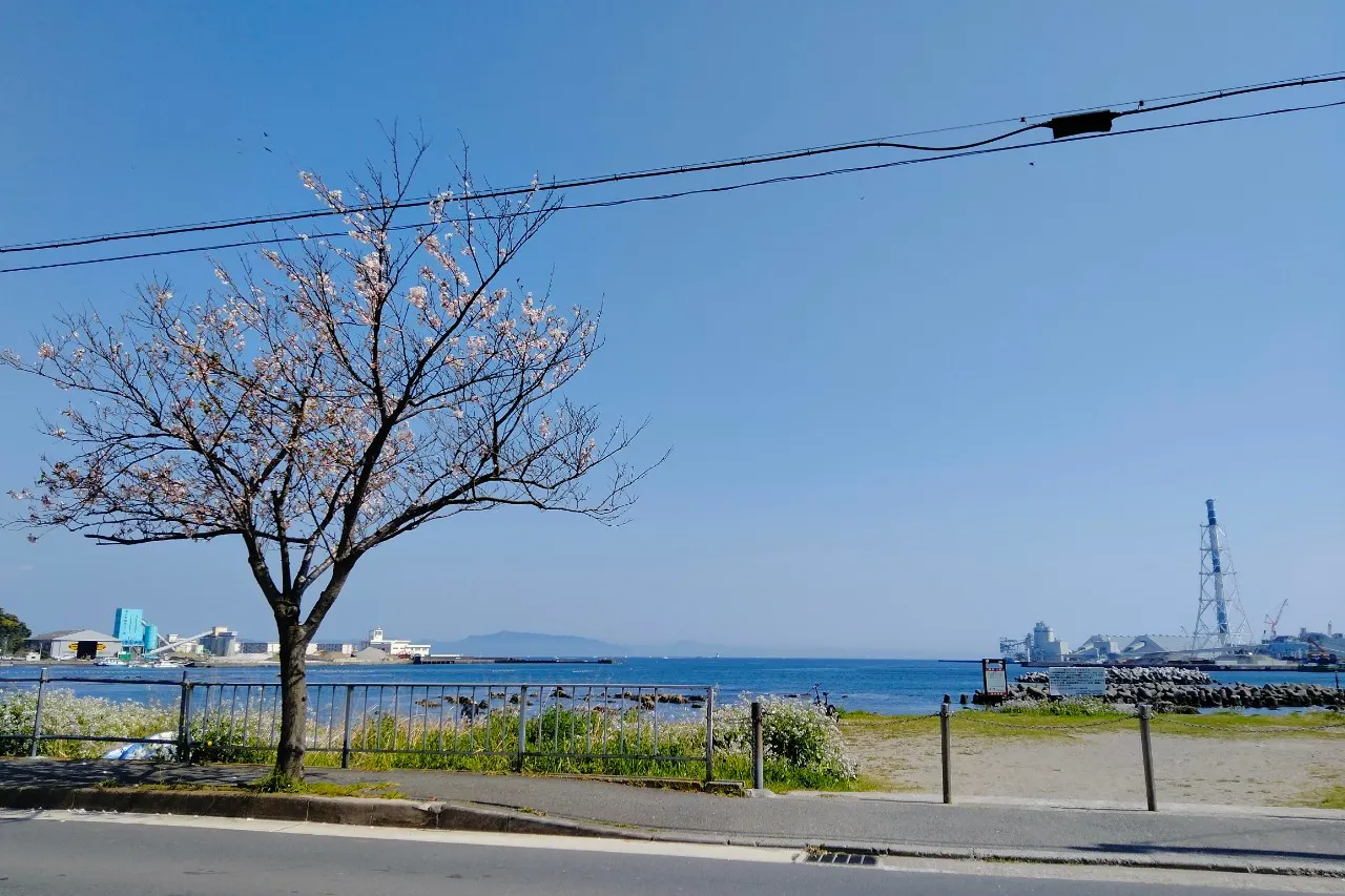 【久里浜港近く】久里浜海岸通り沿いにある飲食店前のキッチンカースペース
