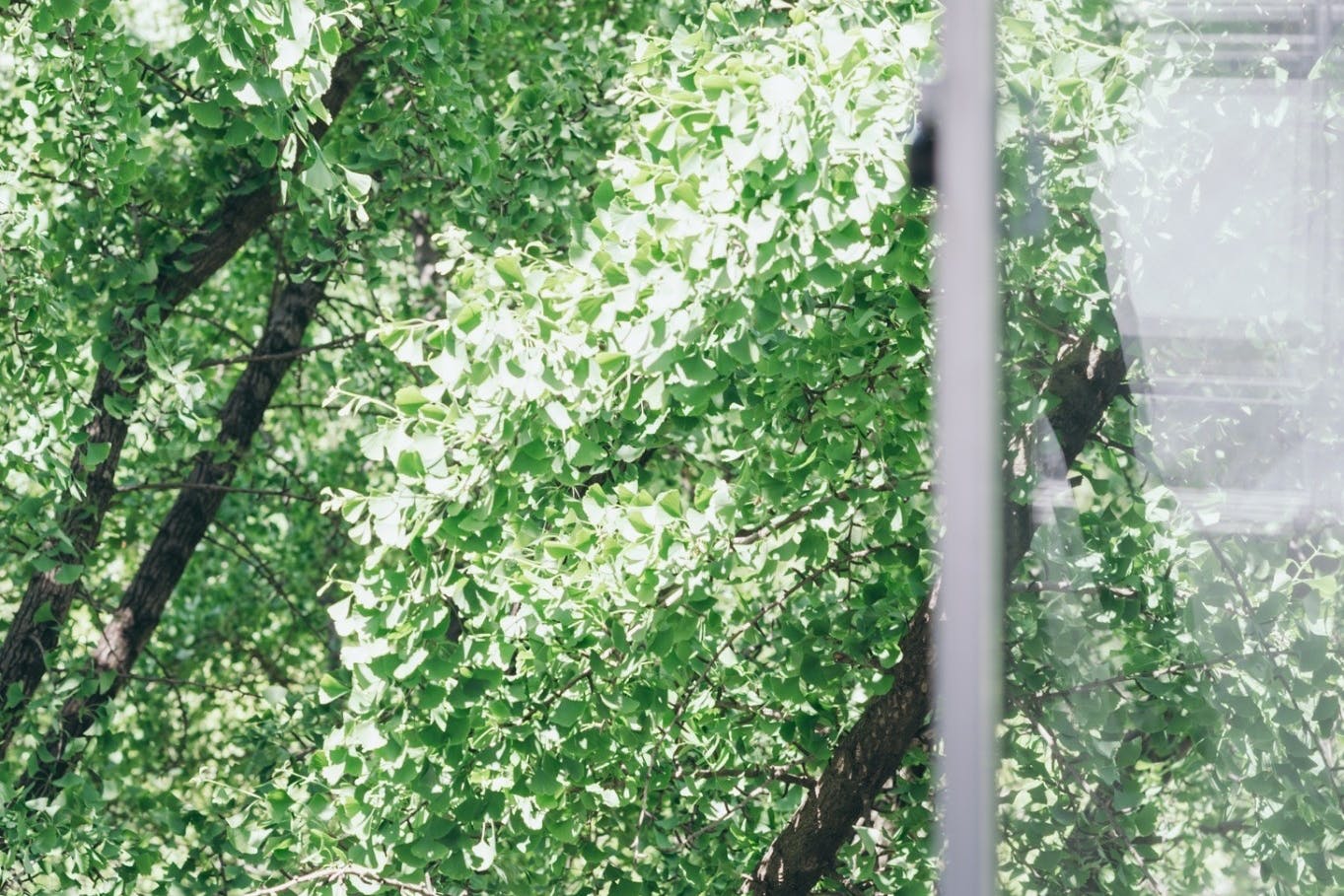 【本町駅2分】各種撮影や招待制の展示販売会、ポップアップストア等適した自然光たっぷりで無機質な空間のスペース