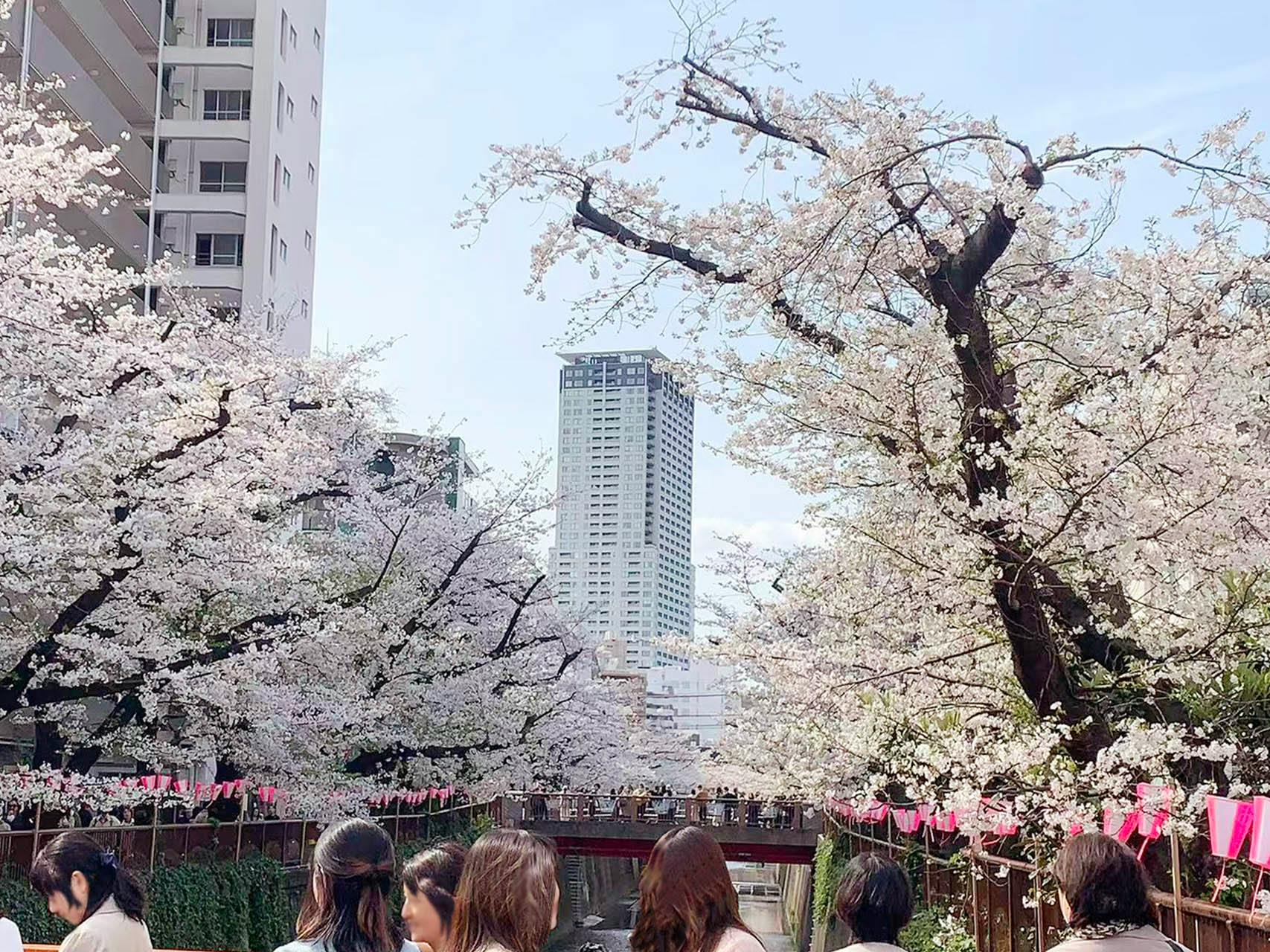 【中目黒駅8分】展示会やポップアップに最適な、目黒川沿いの洗練されたエリアにある路面スペース