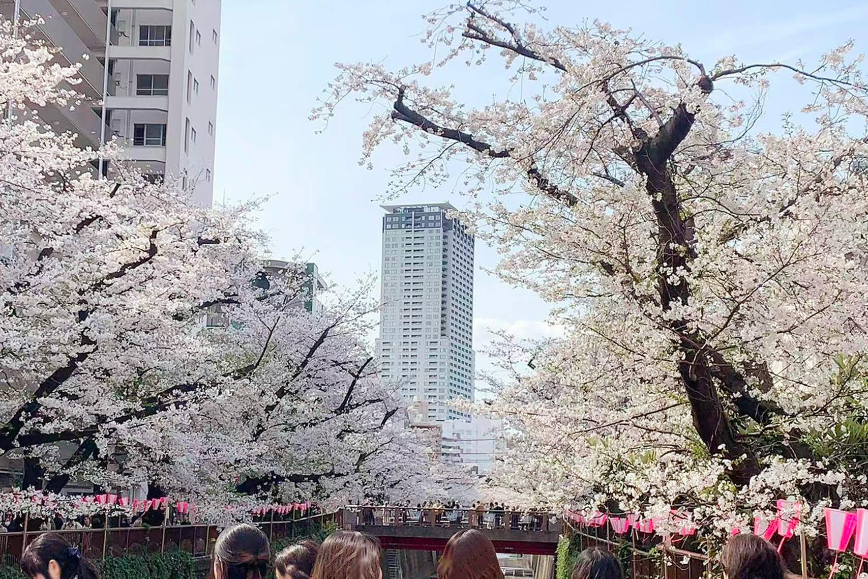【中目黒駅8分】展示会やポップアップに最適な、目黒川沿いの洗練されたエリアにある路面スペース