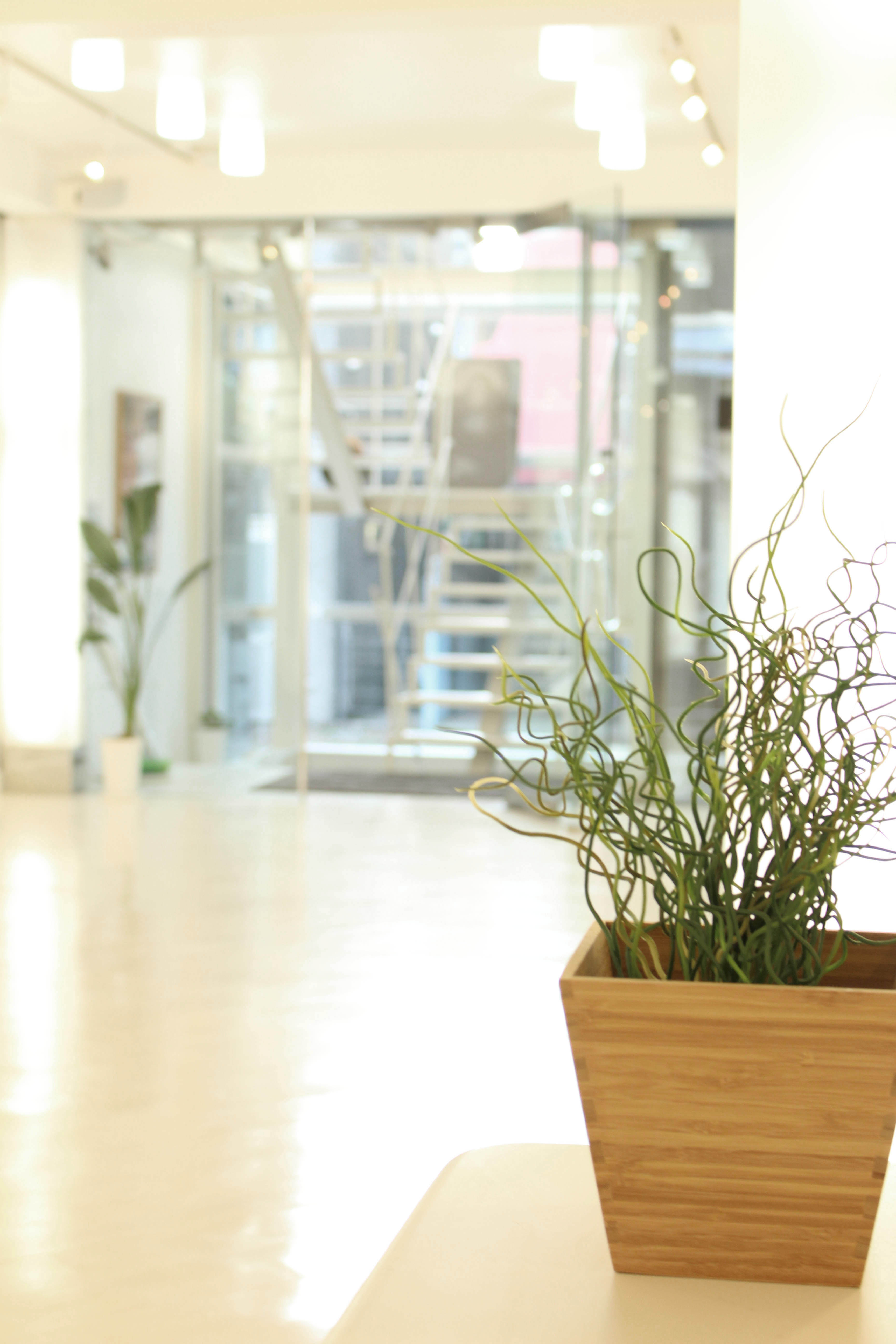 【中目黒駅8分】展示会やポップアップに最適な、目黒川沿いの洗練されたエリアにある路面スペース