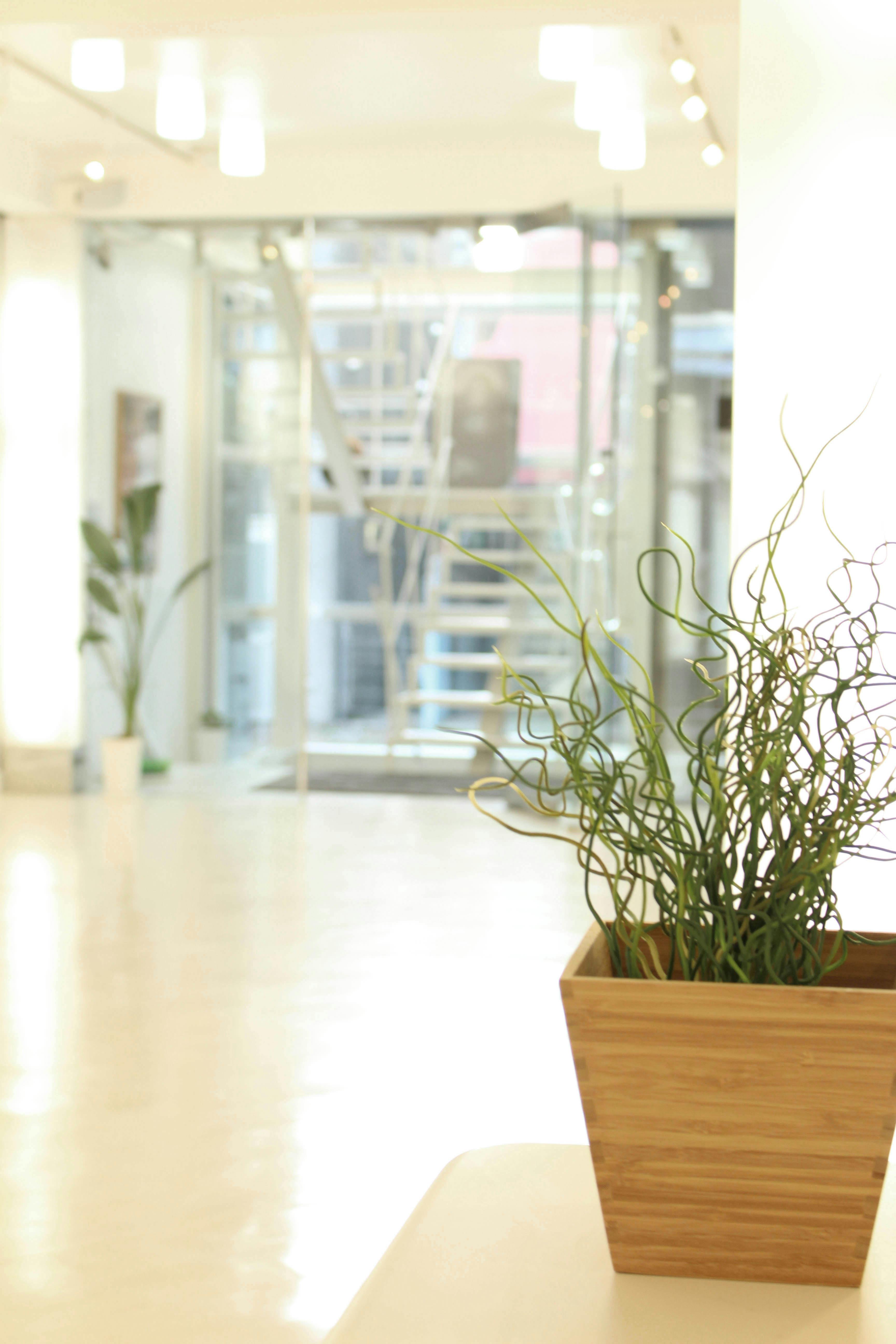 【中目黒駅8分】展示会やポップアップに最適な、目黒川沿いの洗練されたエリアにある路面スペース