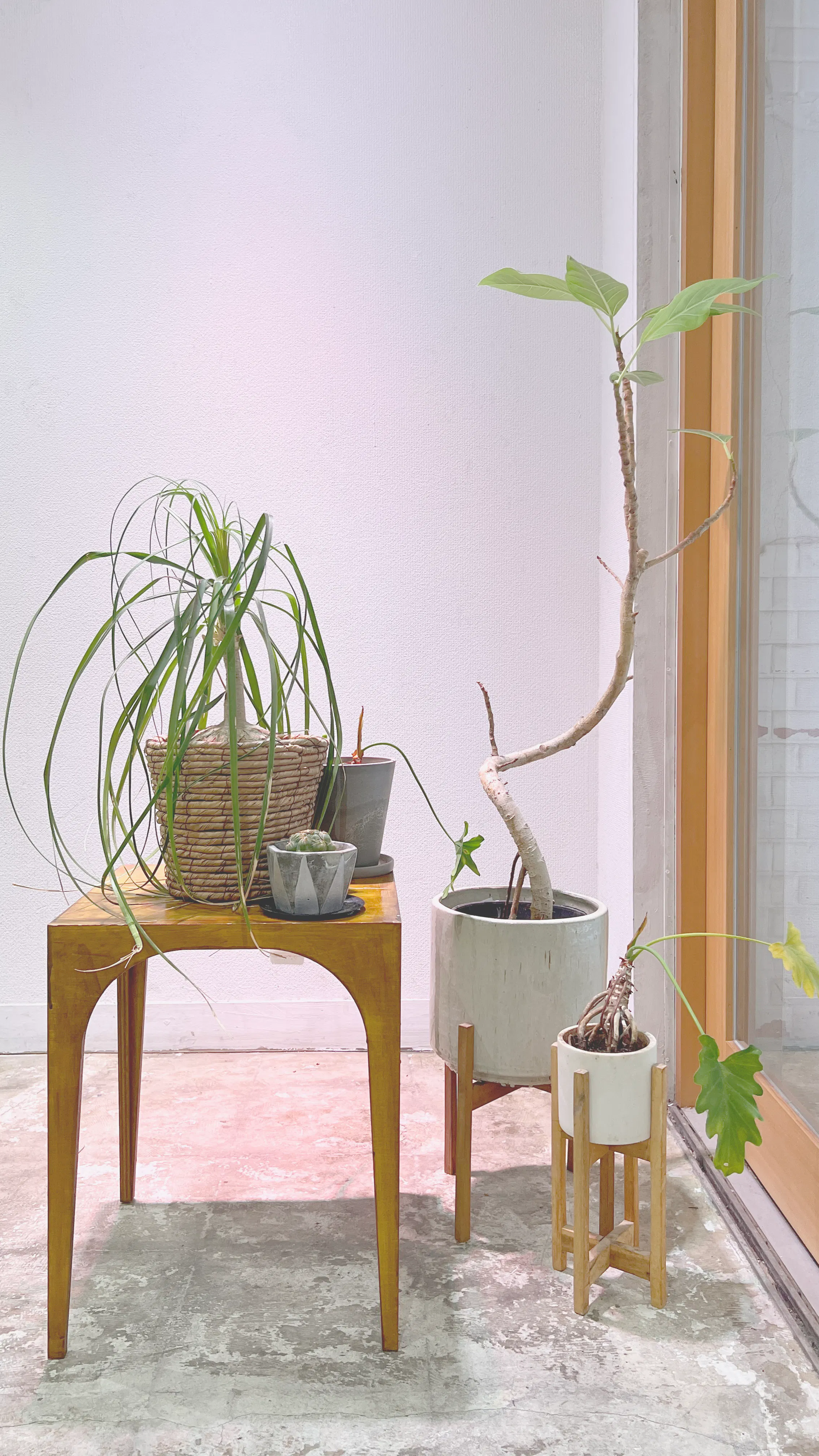 【馬喰町駅4分】展示会利用に適した倉庫を1棟リノベーションのギャラリースタジオ(B1-1&B2-1)