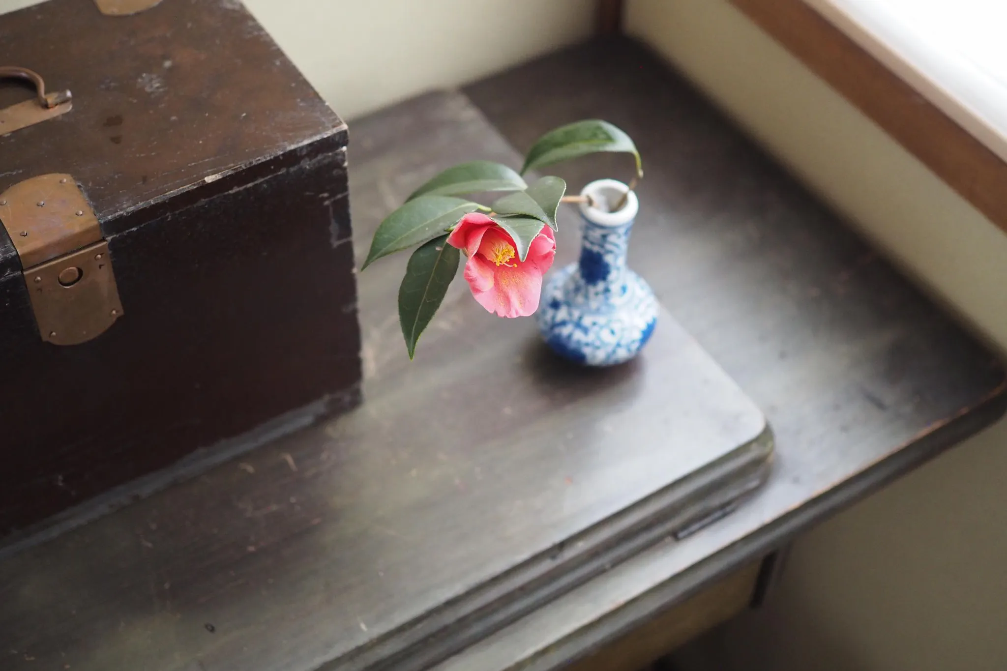 【徳島市中前川町】テストキッチンやワークショップに適したしたゲストハウス併設のイベントスペース