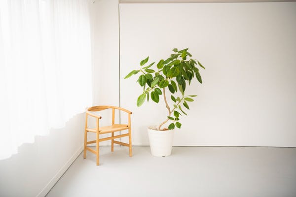 【外苑前駅8分】ロケや撮影に最適な自然光の入る白壁が特徴的な都心のスタジオスペース