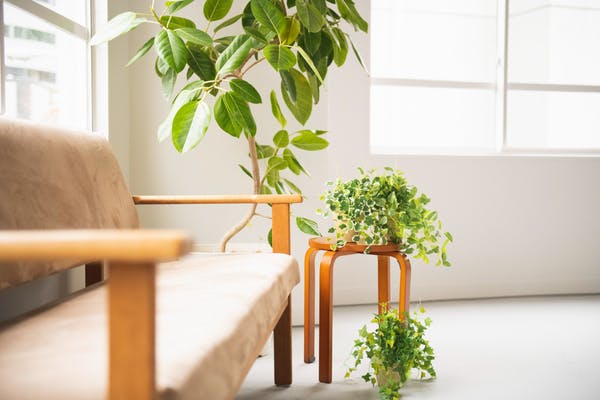 【外苑前駅8分】ロケや撮影に最適な自然光の入る白壁が特徴的な都心のスタジオスペース