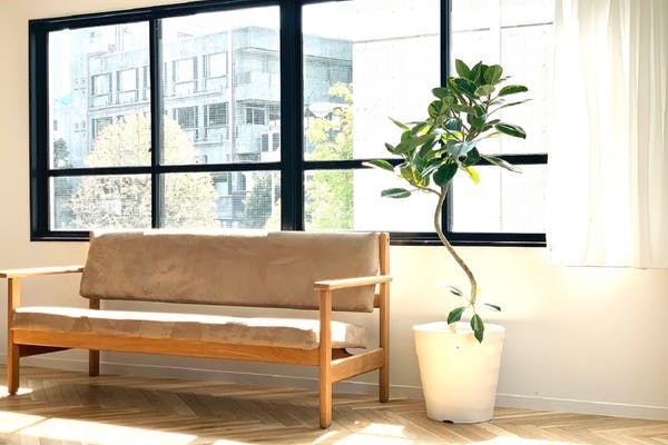 【外苑前駅8分】ロケや撮影に最適な自然光の入る白壁が特徴的な都心のスタジオスペース