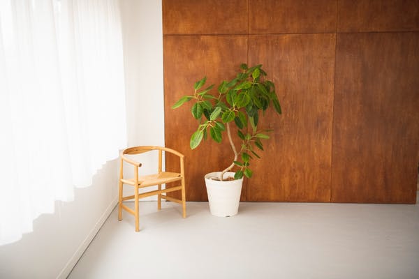 【外苑前駅8分】ロケや撮影に最適な自然光の入る白壁が特徴的な都心のスタジオスペース