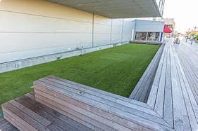 【デックス東京ビーチ】「シーサイド広場」音楽イベントや屋外教室などに利用可能な、メインフロアの芝生広場スペース