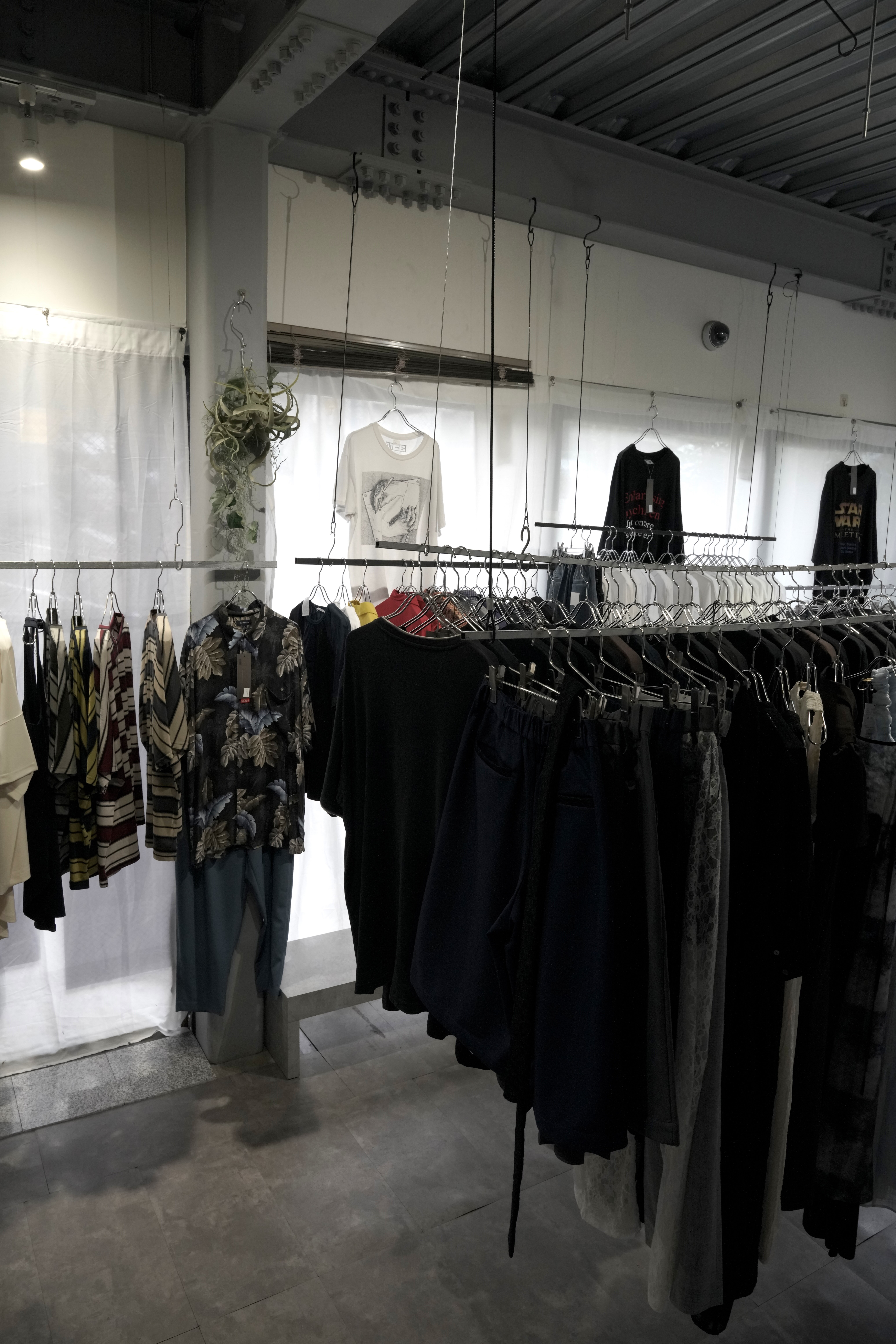 展示例