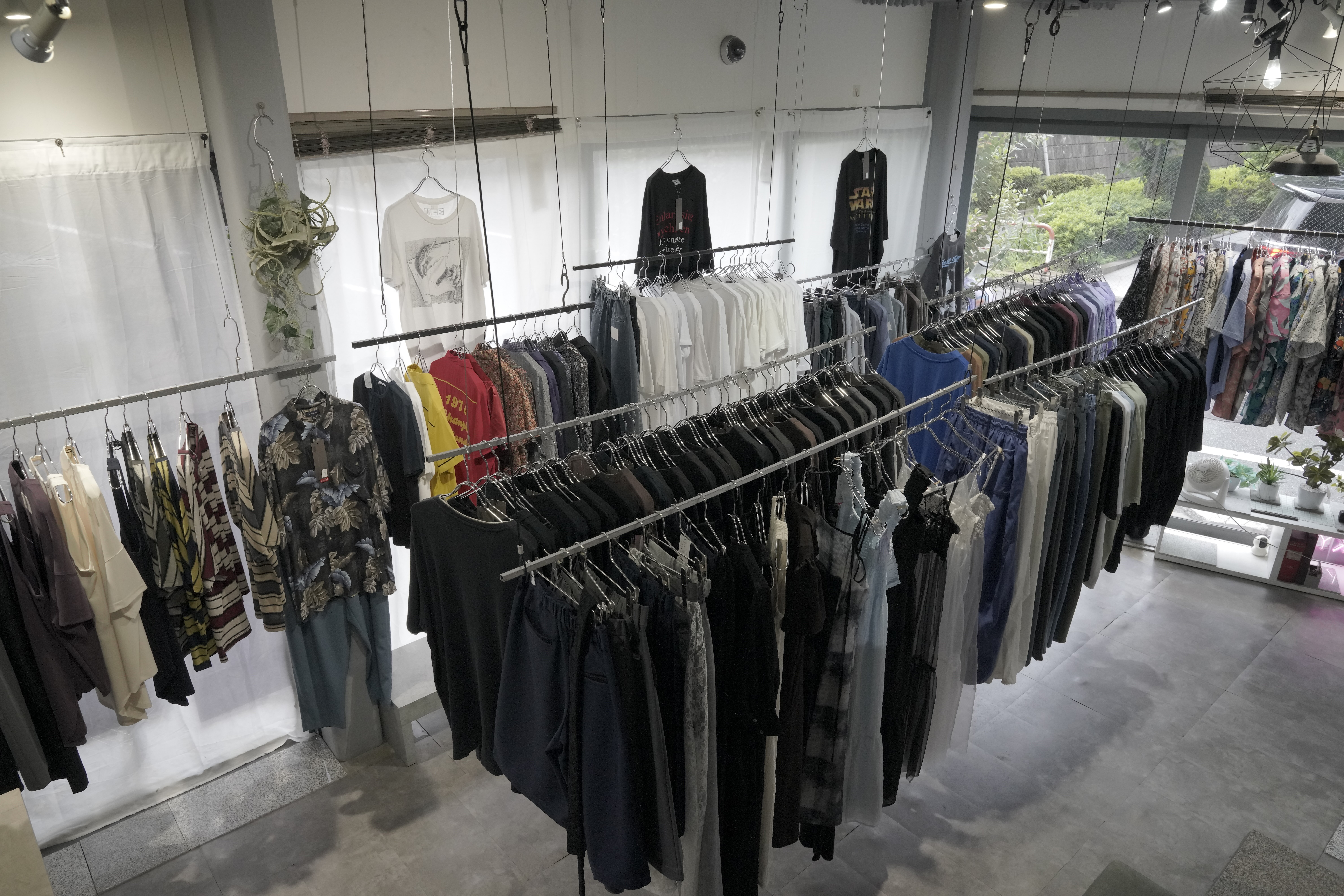 展示例