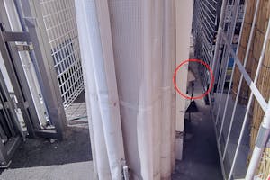 【ホームセンターサンデー盛岡前潟店】キッチンカーの出店に最適な店舗駐車場にある屋外スペース