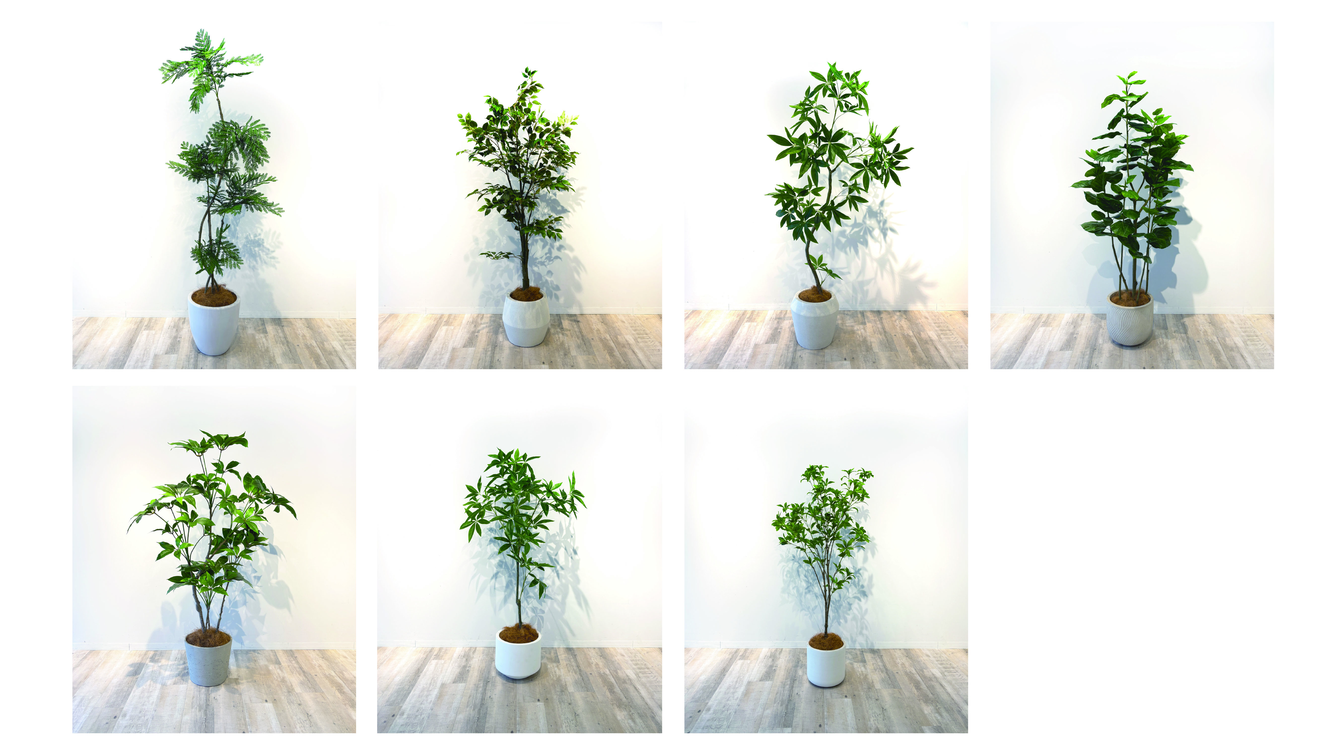 フェイク植栽のレンタルを始めました！*詳細は特記事項参照