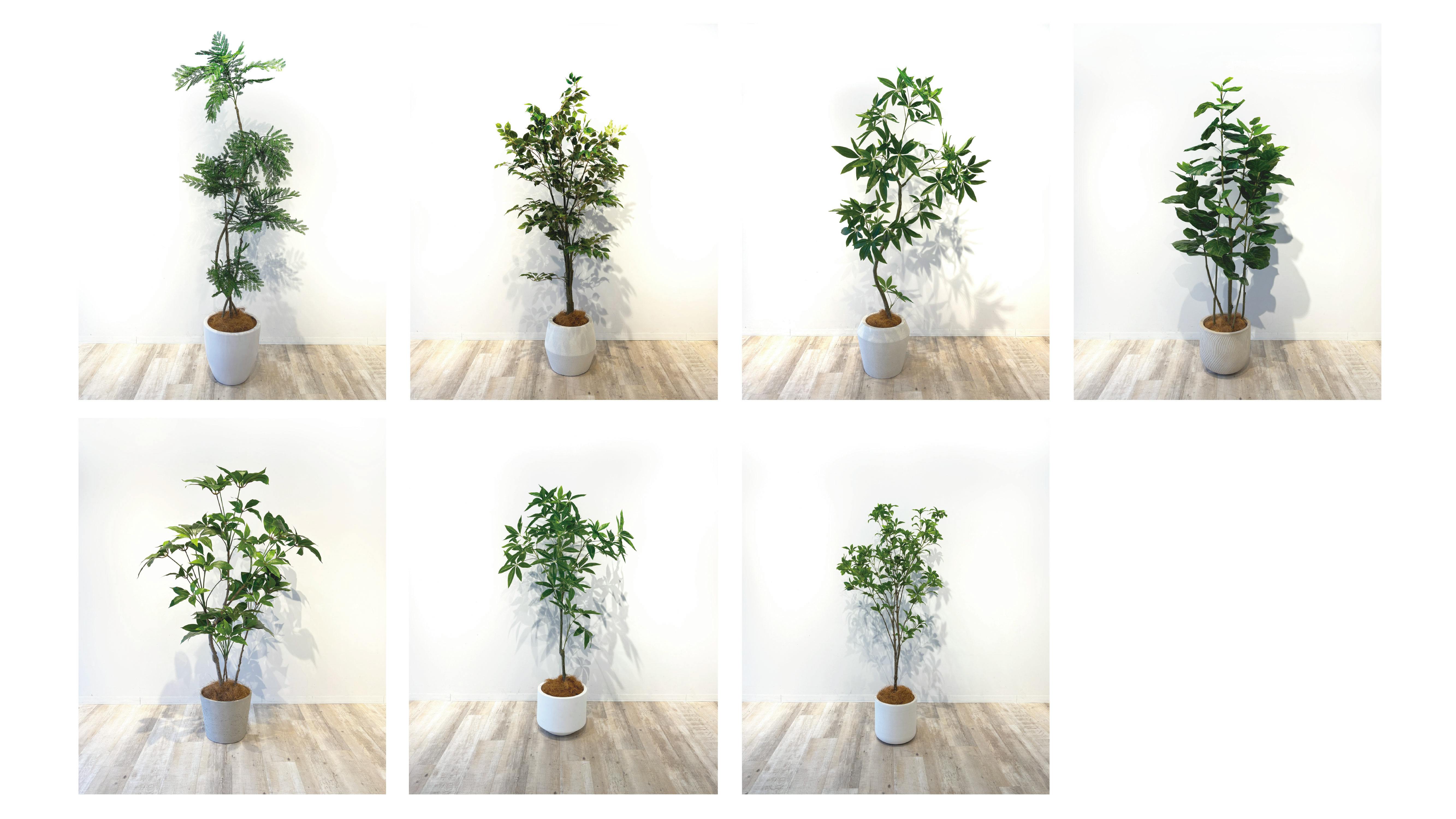 【薬院駅4分】展示会や個展に最適な薬院エリアにある清潔感あふれるレンタルスペース