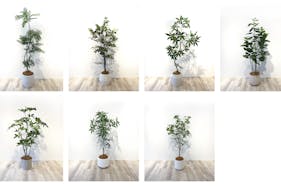 【薬院駅5分】展示会や個展に最適な薬院エリアにある清潔感あふれるレンタルスペース