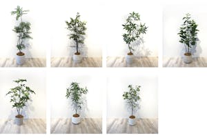 【薬院駅5分】展示会や個展に最適な薬院エリアにある清潔感あふれるレンタルスペース