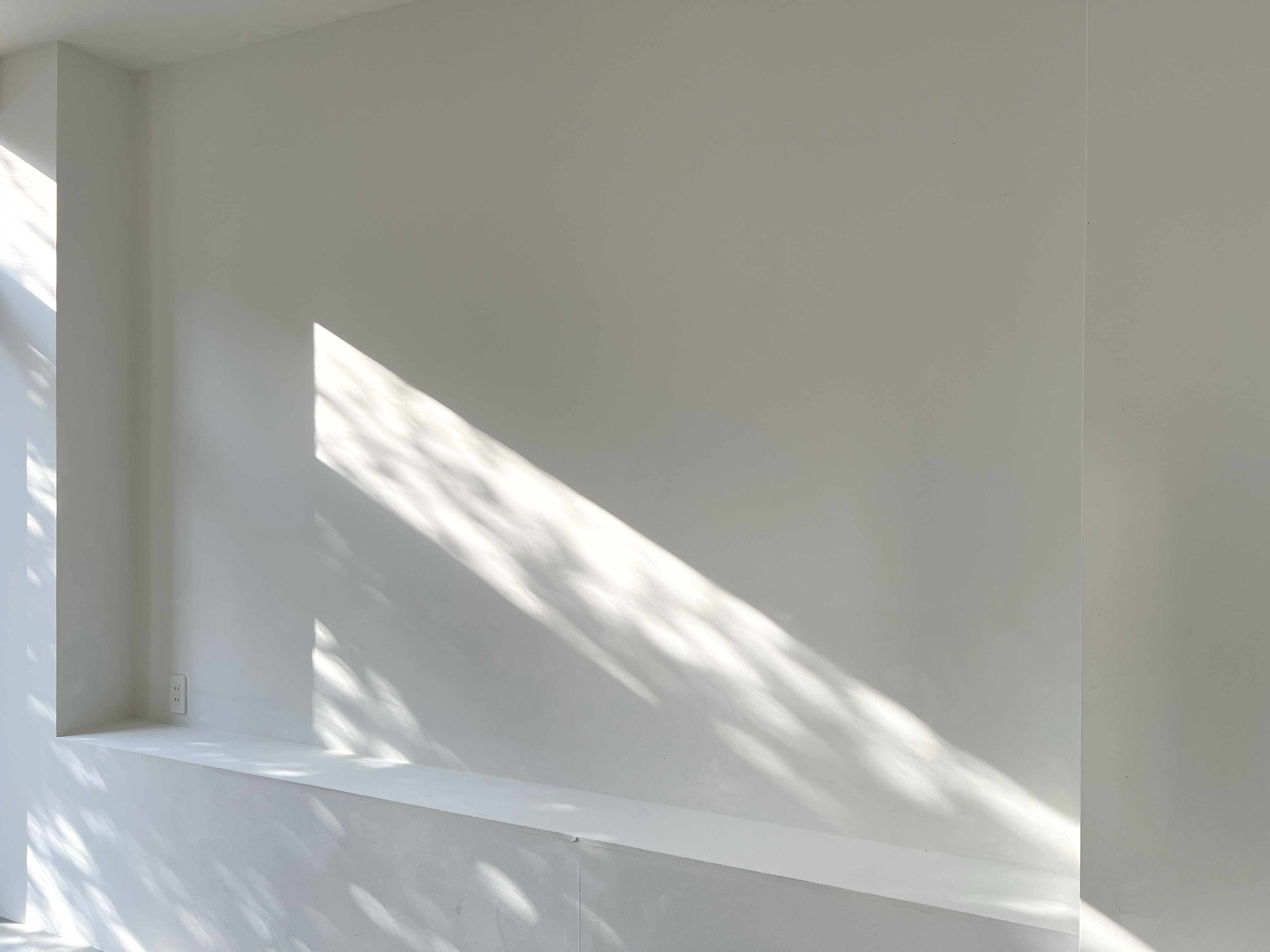 【牛込柳町駅2分】展示会やポップアップストアに最適な、天井高3.2mある自然光豊富な路面スペース