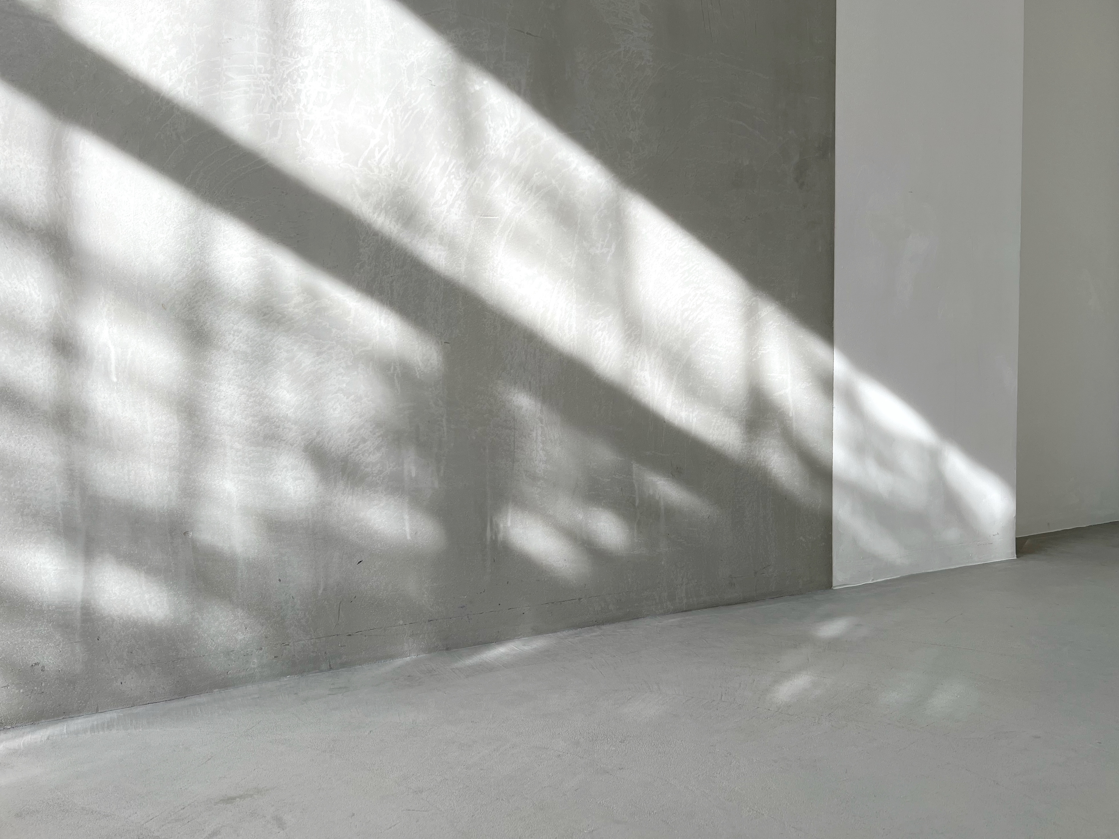 【牛込柳町駅2分】展示会やポップアップストアに最適な、天井高3.2mある自然光豊富な路面スペース