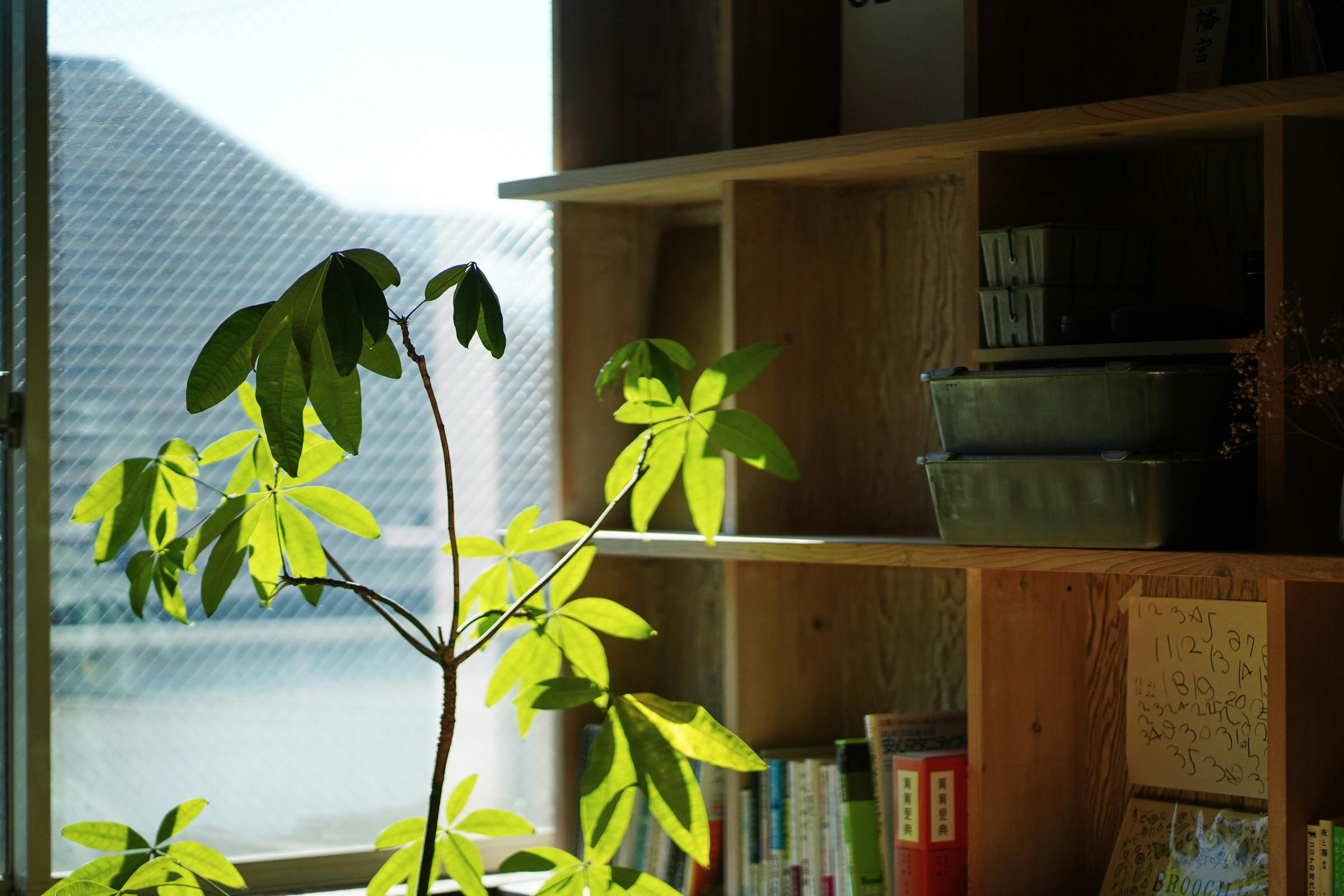 【池ノ上駅6分】撮影に適した光と影・素材が特徴的な自宅兼スタジオ