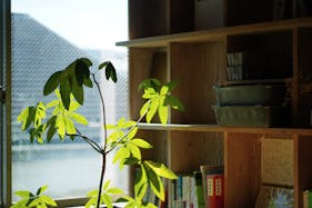 【池ノ上駅6分】撮影に適した光と影・素材が特徴的な自宅兼スタジオ