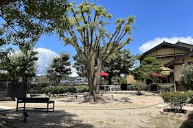 【豊岡市】撮影や個展、イベント販売等に最適な歴史あるお屋敷内のイベントスペース