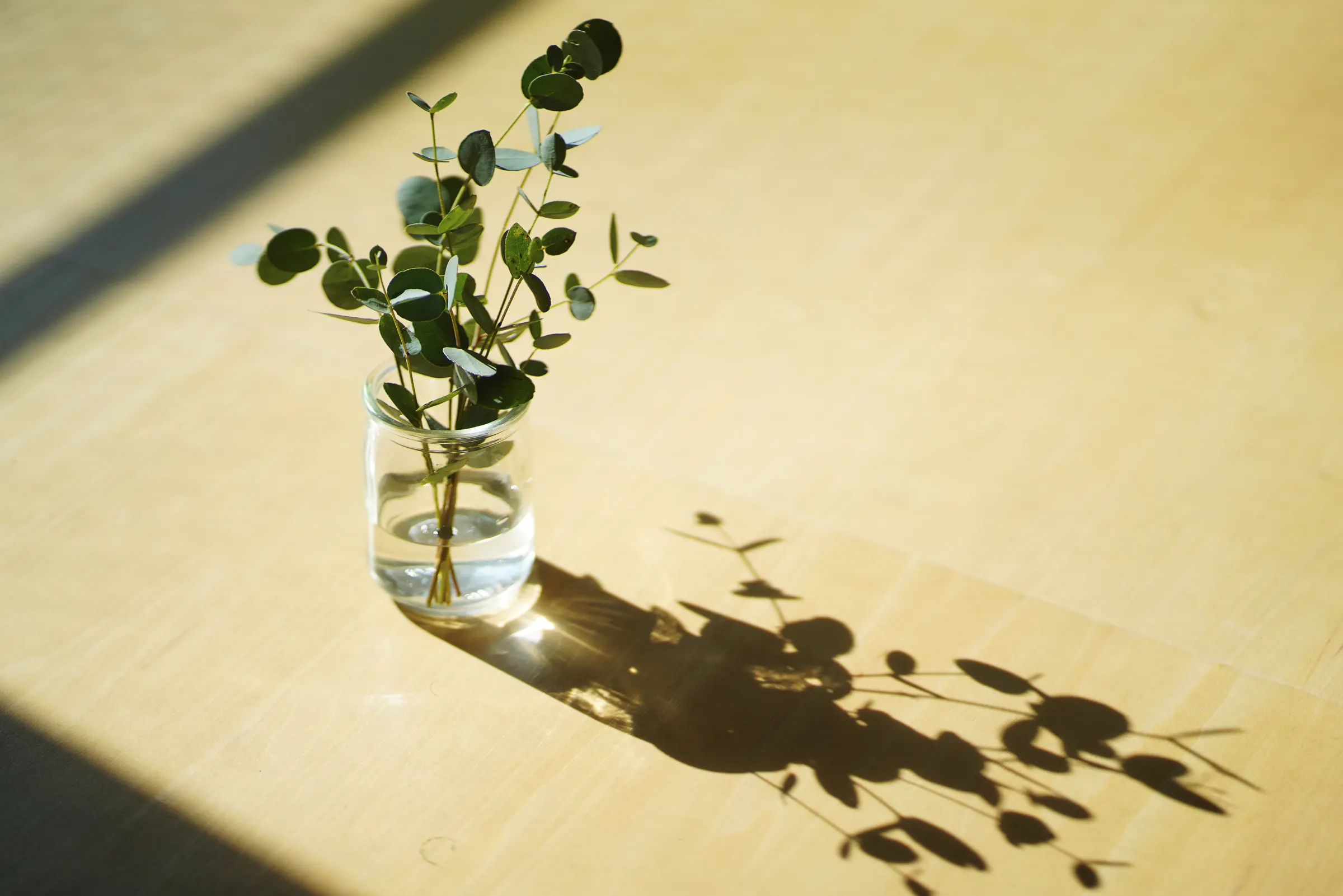 【池ノ上駅6分】撮影に適した光と影・素材が特徴的な自宅兼スタジオ