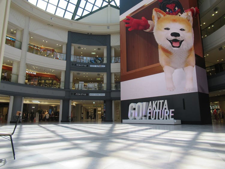 【イオンモール秋田】1F  セントラルコートの画像