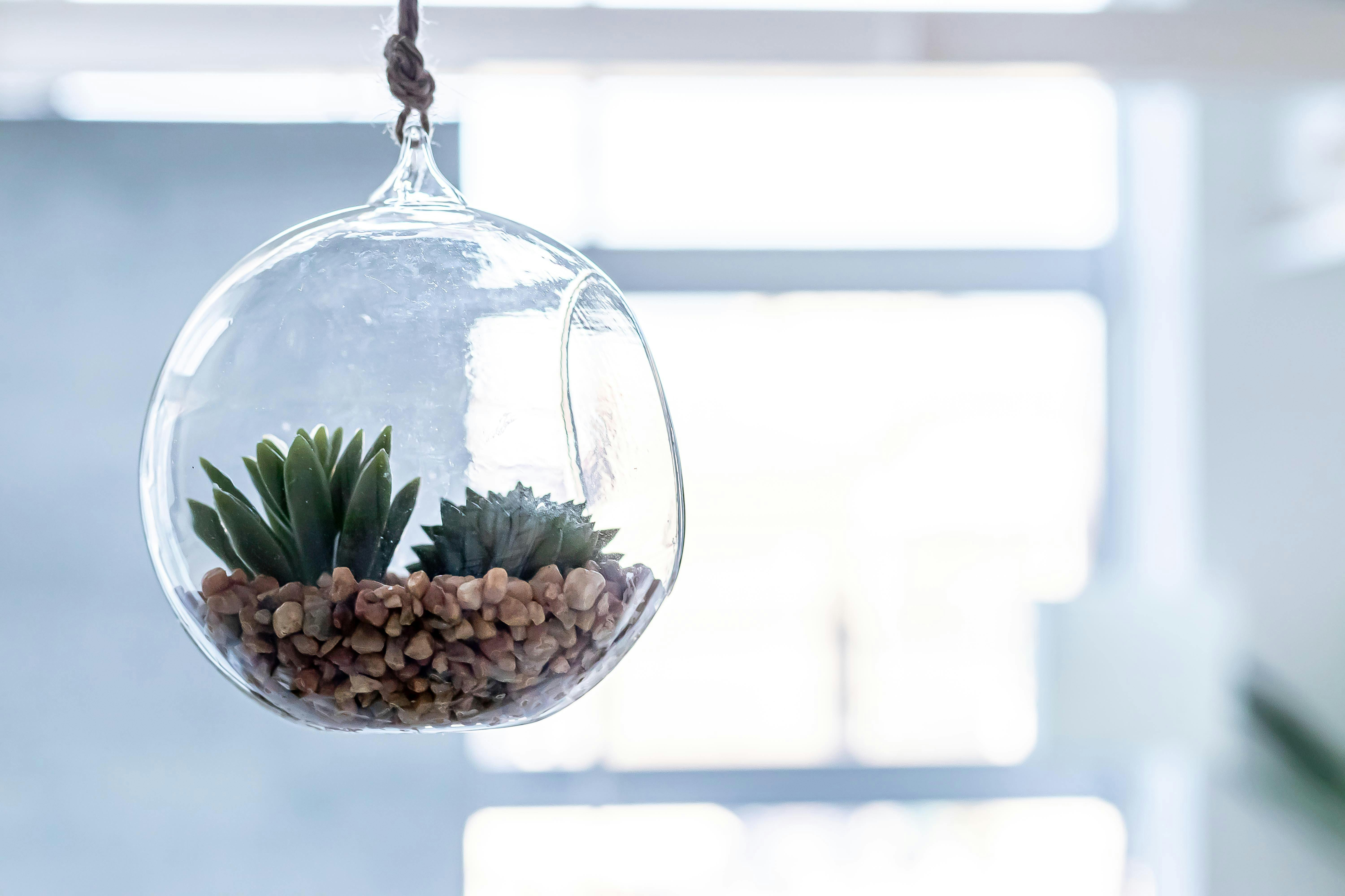 【代々木駅4分】二面採光・天井高4mで撮影に適した自然光豊かなレンタルスタジオ