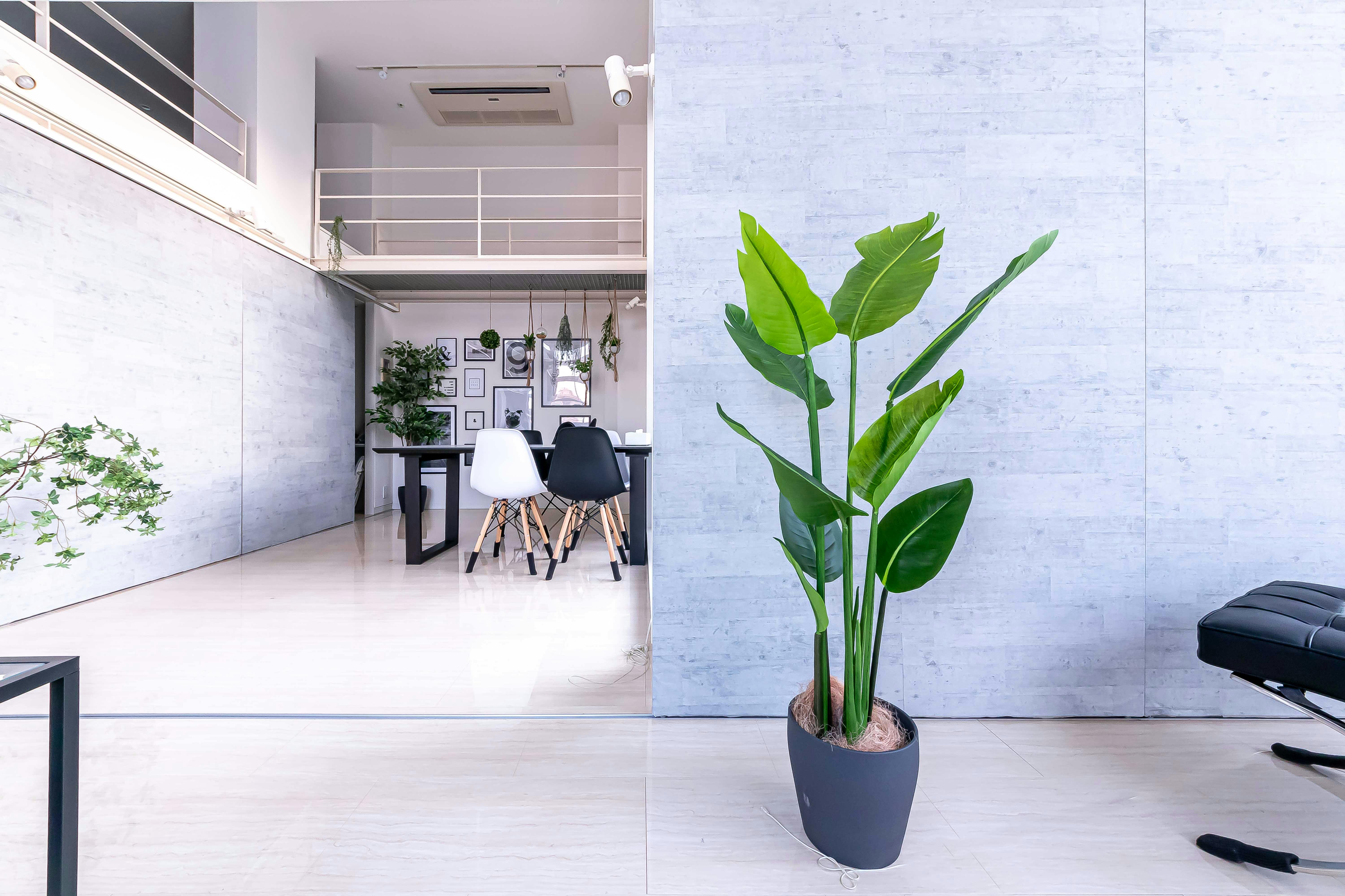 【代々木駅4分】二面採光・天井高4mで撮影に適した自然光豊かなレンタルスタジオ