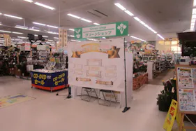 【サンデー白山店】屋内レジ前 食物販やプロモーション等の出店に最適なホームセンター店内のイベントスペース
