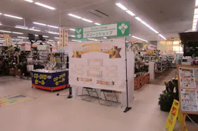 【サンデー白山店】屋内レジ前 食物販やプロモーション等の出店に最適なホームセンター店内のイベントスペース