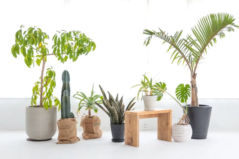 【早稲田駅5分】展示会や撮影利用に最適な自然光が入る白壁白床のイベントスペースの画像5