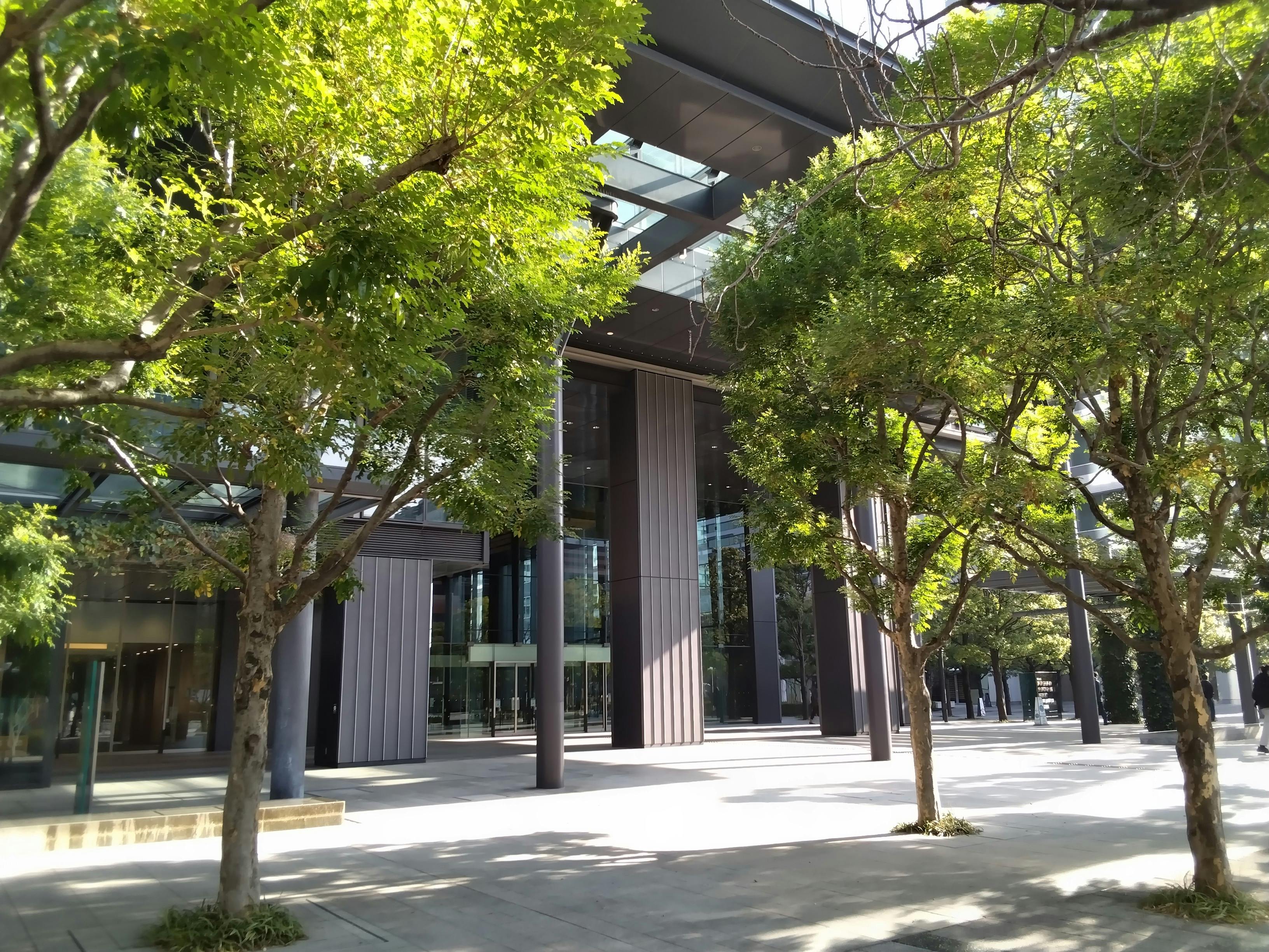 【豊洲駅2分|毎月第2水曜】食・雑貨物販に適したマルシェスペース『豊洲フォレシアマルシェ』