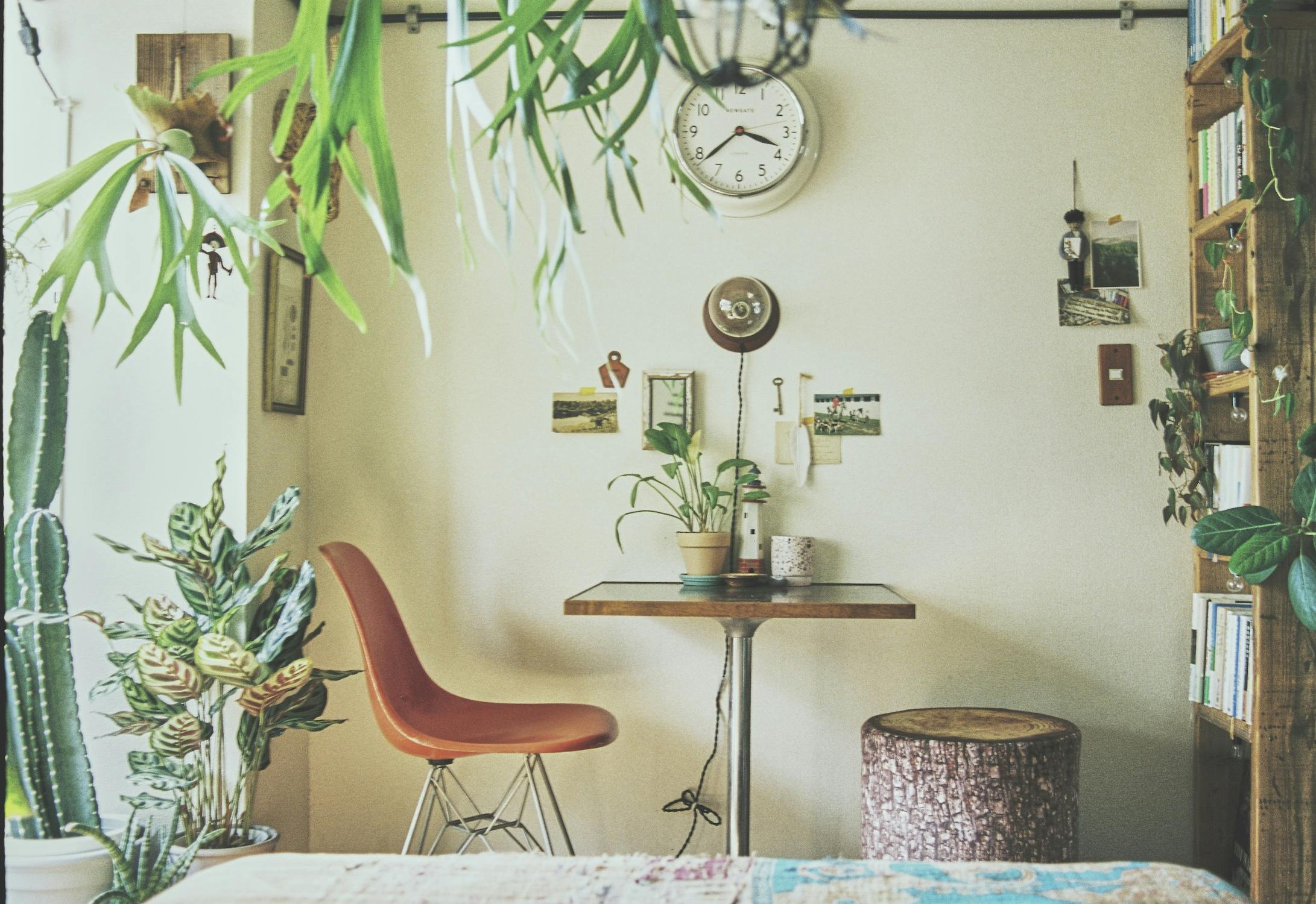 【三軒茶屋駅5分】撮影に最適な生活感を活かした人の気配とフォトジェニックを兼ね備えたレンタルスタジオ