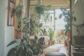 【三軒茶屋駅5分】撮影に最適な生活感を活かした人の気配とフォトジェニックを兼ね備えたレンタルスタジオ