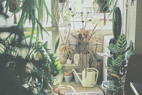 【三軒茶屋駅5分】撮影に最適な生活感を活かした人の気配とフォトジェニックを兼ね備えたレンタルスタジオ