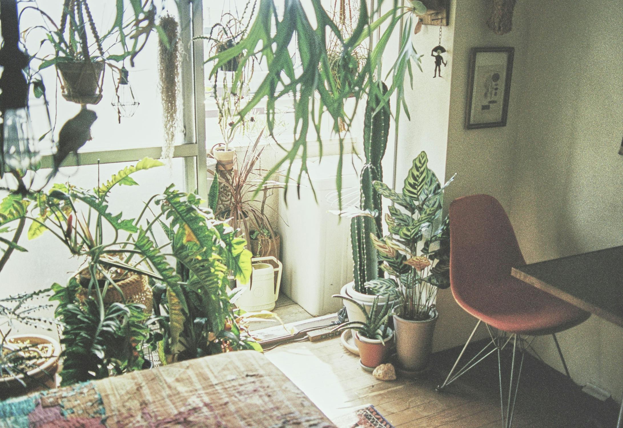 【三軒茶屋駅5分】撮影に最適な生活感を活かした人の気配とフォトジェニックを兼ね備えたレンタルスタジオ