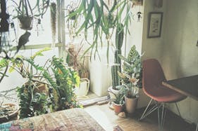 【三軒茶屋駅5分】撮影に最適な生活感を活かした人の気配とフォトジェニックを兼ね備えたレンタルスタジオ