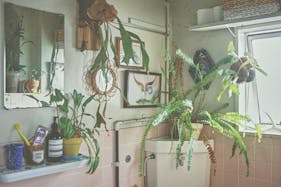 【三軒茶屋駅5分】撮影に最適な生活感を活かした人の気配とフォトジェニックを兼ね備えたレンタルスタジオ